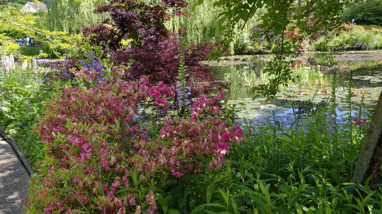20190529-112647•Giverny (Jardin de Monet)•Limetz-Villez•Ile-de-France•France